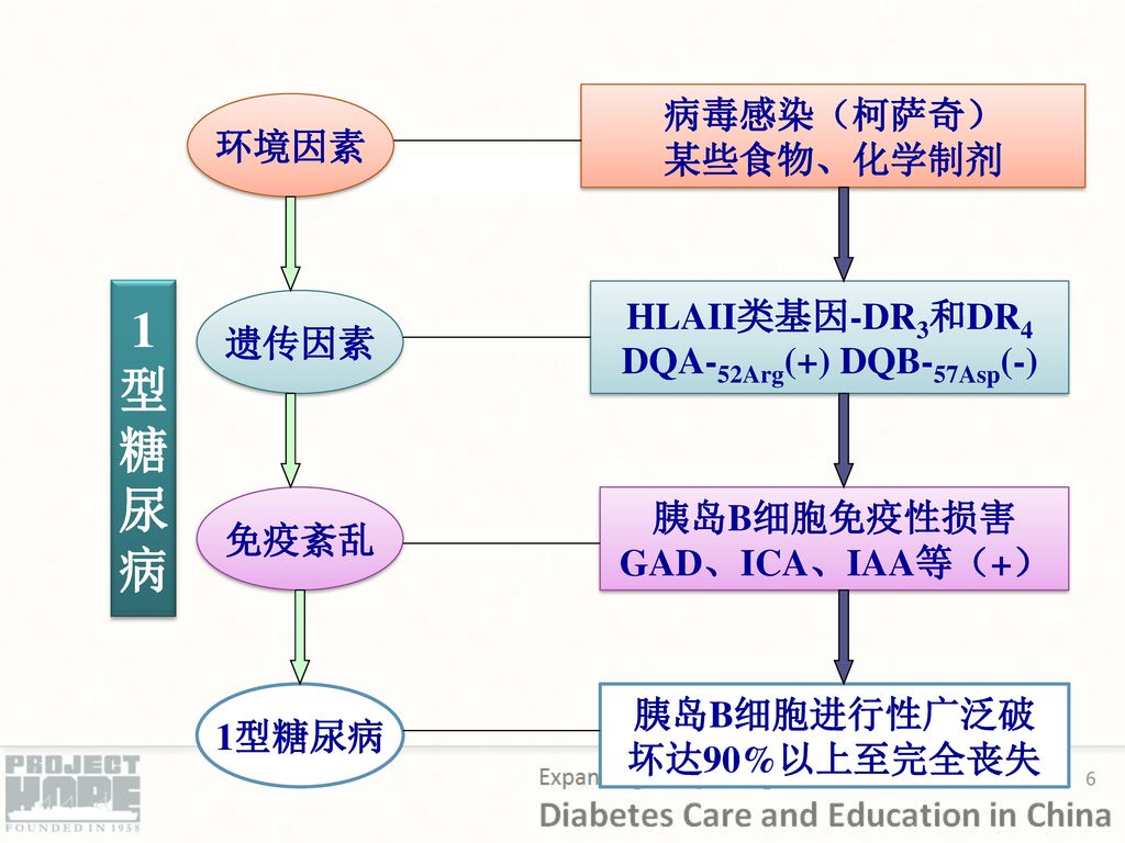 糖尿病特殊人群的 处理与指导